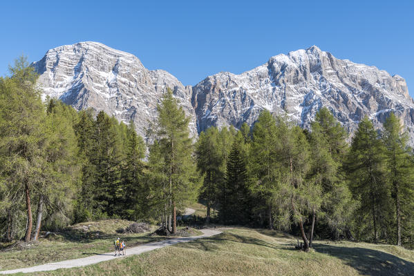 La Valle / Wengen, Alta Badia, Bolzano province, South Tyrol, Italy. Hikers traveling on the pastures of Pra de Rit