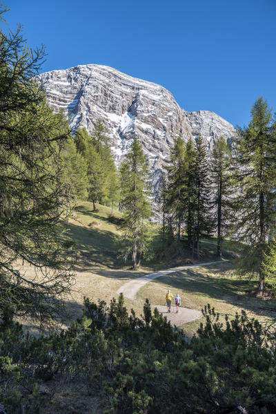 La Valle / Wengen, Alta Badia, Bolzano province, South Tyrol, Italy. Hikers traveling on the pastures of Pra de Rit