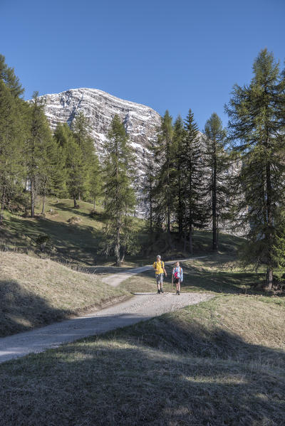 La Valle / Wengen, Alta Badia, Bolzano province, South Tyrol, Italy. Hikers traveling on the pastures of Pra de Rit