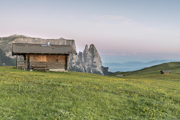 Alpe di Siusi/Seiser Alm, Dolomites, South Tyrol, Italy. The morning on the Alpe di Siusi. In the background the peaks of Sciliar/Schlern