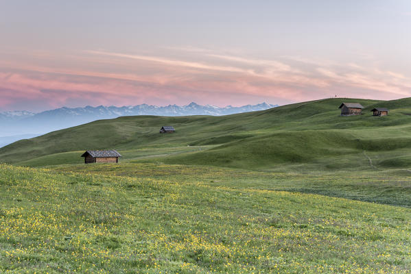 Alpe di Siusi/Seiser Alm, Dolomites, South Tyrol, Italy. The morning on the Alpe di Siusi.