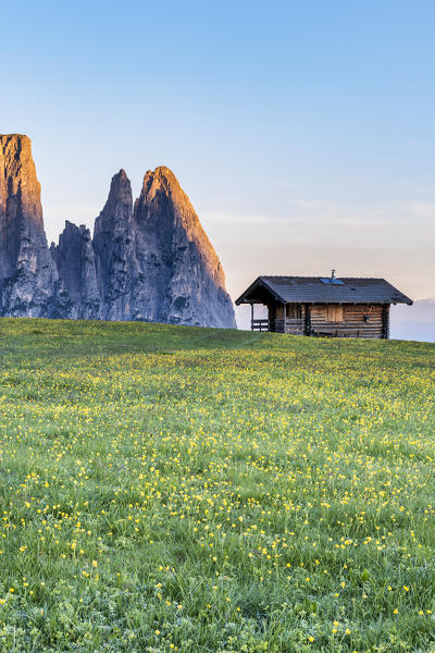 Alpe di Siusi/Seiser Alm, Dolomites, South Tyrol, Italy. Sunrise on the Alpe di Siusi