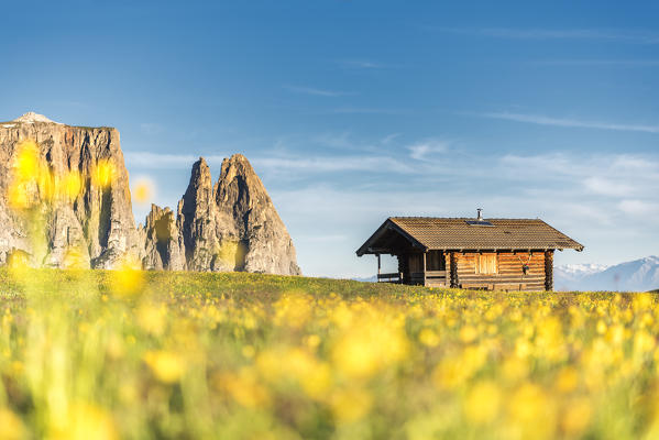 Alpe di Siusi/Seiser Alm, Dolomites, South Tyrol, Italy.