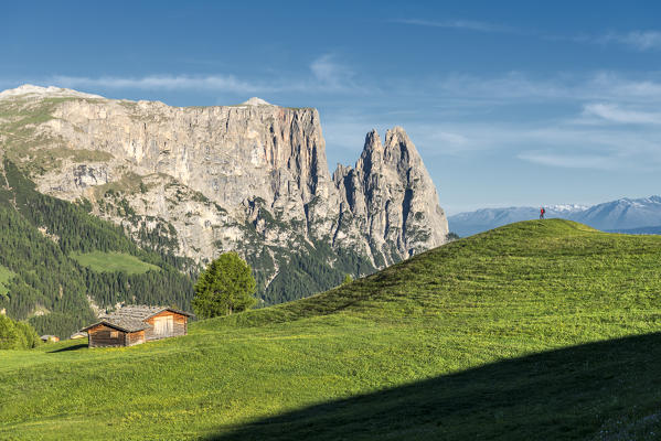 Alpe di Siusi/Seiser Alm, Dolomites, South Tyrol, Italy.