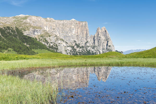 Alpe di Siusi/Seiser Alm, Dolomites, South Tyrol, Italy.