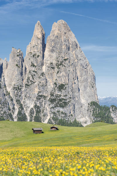 Alpe di Siusi/Seiser Alm, Dolomites, South Tyrol, Italy.