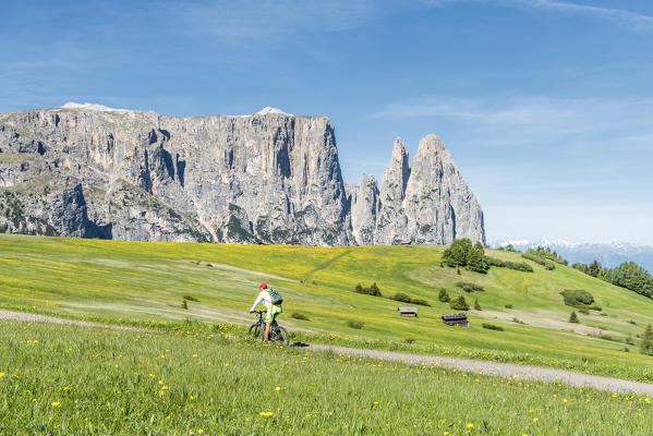 Alpe di Siusi/Seiser Alm, Dolomites, South Tyrol, Italy. A mountain biker on the Alpe di Siusi