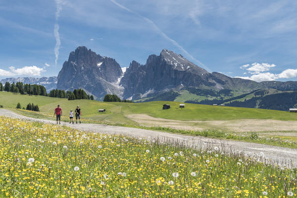 Alpe di Siusi/Seiser Alm, Dolomites, South Tyrol, Italy.