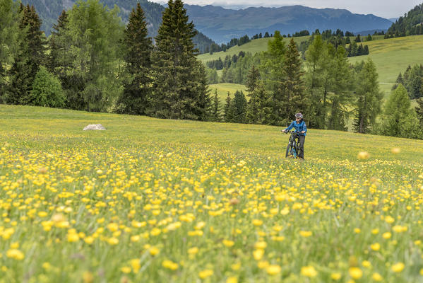 Alpe di Siusi/Seiser Alm, Dolomites, South Tyrol, Italy. A mountain biker on the Alpe di Siusi