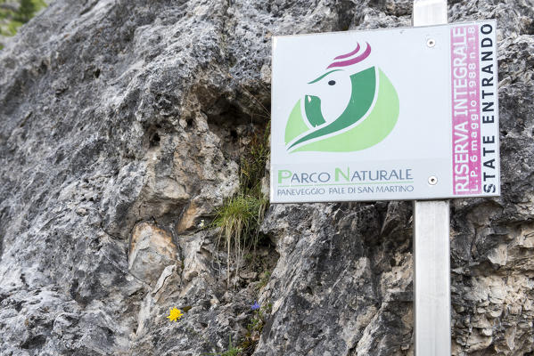 Venegia valley, Paneveggio-Pale of San Martino natural park, Trento province, Trentino Alto Adige, Italy, Europe