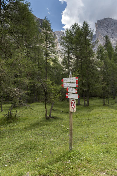 Venegia valley, Paneveggio-Pale of San Martino natural park, Trento province, Trentino Alto Adige, Italy, Europe