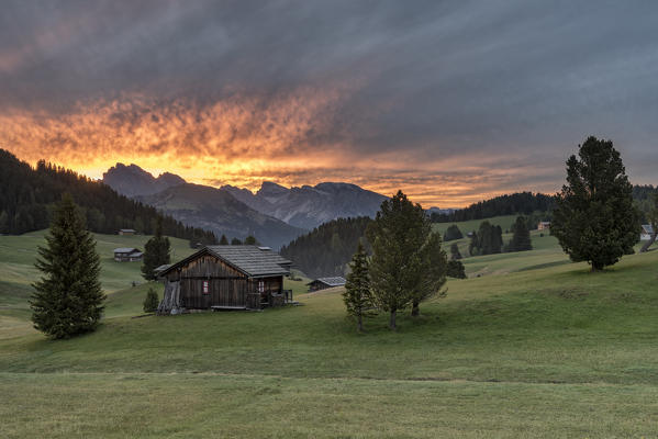 Alpe di Siusi/Seiser Alm, Dolomites, South Tyrol, Italy. Sunrise on the Alpe di Siusi