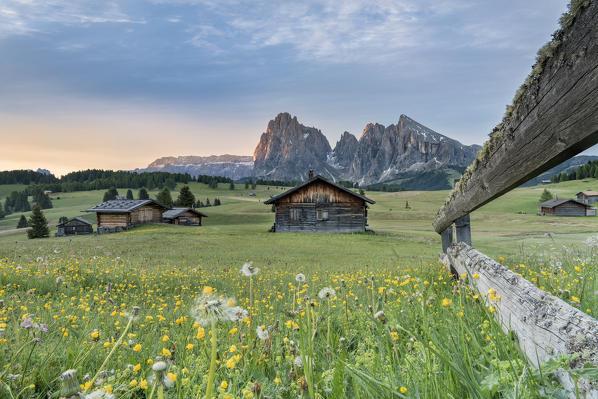 Alpe di Siusi/Seiser Alm, Dolomites, South Tyrol, Italy. Sunrise on the Alpe di Siusi