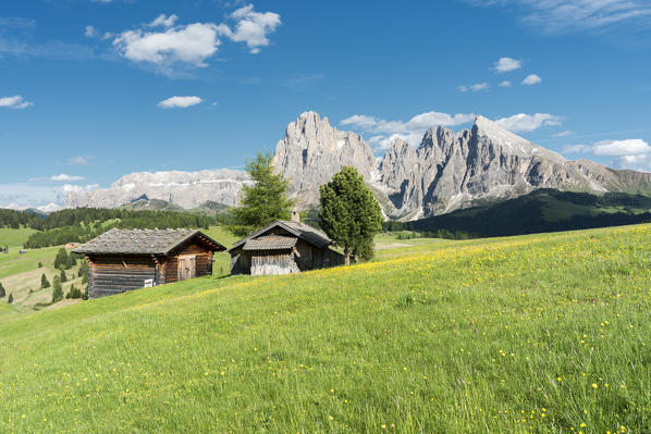 Alpe di Siusi/Seiser Alm, Dolomites, South Tyrol, Italy.