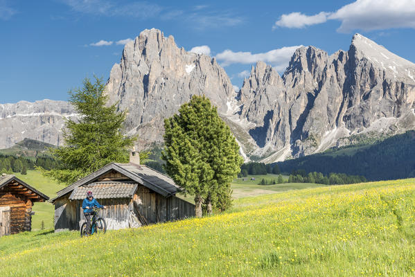 Alpe di Siusi/Seiser Alm, Dolomites, South Tyrol, Italy. Mountainbiker on the Alpe di Siusi