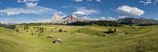 Alpe di Siusi/Seiser Alm, Dolomites, South Tyrol, Italy.