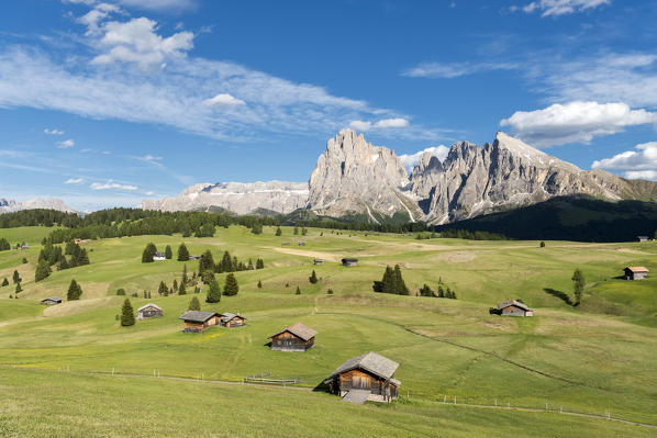 Alpe di Siusi/Seiser Alm, Dolomites, South Tyrol, Italy.