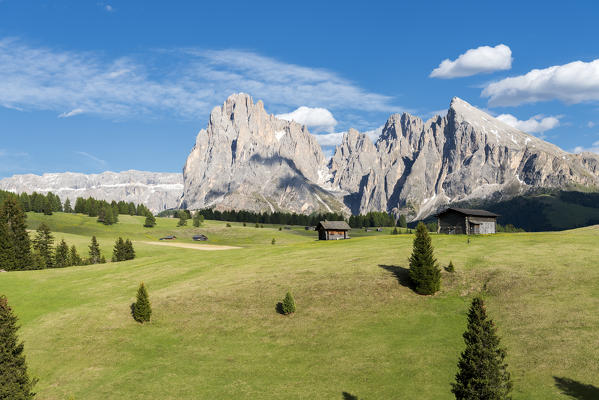 Alpe di Siusi/Seiser Alm, Dolomites, South Tyrol, Italy.