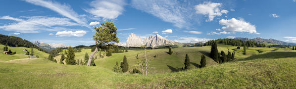 Alpe di Siusi/Seiser Alm, Dolomites, South Tyrol, Italy.