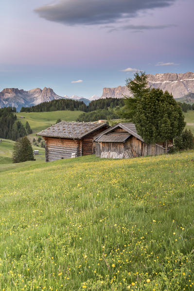 Alpe di Siusi/Seiser Alm, Dolomites, South Tyrol, Italy. Dusk on the Alpe di Siusi