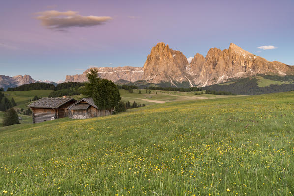 Alpe di Siusi/Seiser Alm, Dolomites, South Tyrol, Italy. Dusk on the Alpe di Siusi