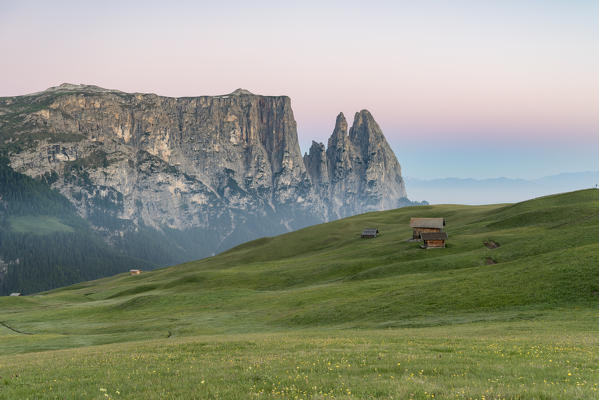 Alpe di Siusi/Seiser Alm, Dolomites, South Tyrol, Italy.