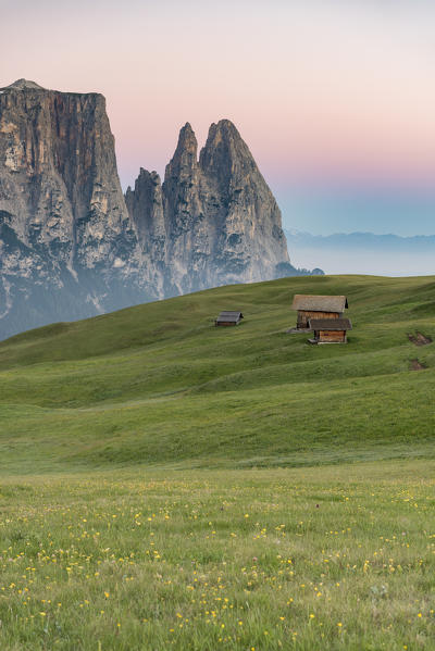 Alpe di Siusi/Seiser Alm, Dolomites, South Tyrol, Italy. Sunrise on the Alpe di Siusi