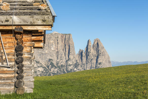 Alpe di Siusi/Seiser Alm, Dolomites, South Tyrol, Italy.