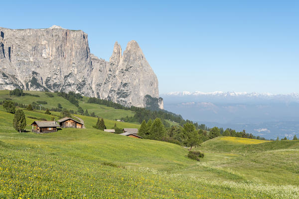 Alpe di Siusi/Seiser Alm, Dolomites, South Tyrol, Italy.