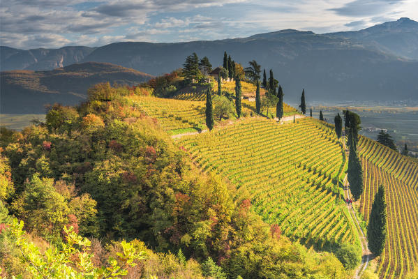 Termeno / Tramin, province of Bolzano, South Tyrol, Italy, Europe. The hill of Kastelaz with his vineyards