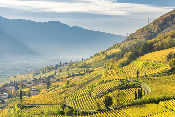 Termeno / Tramin, province of Bolzano, South Tyrol, Italy, Europe.