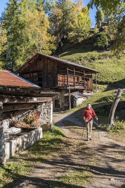 Bramezza, Dolomites,  Rocca Pietore, province of Belluno, Veneto, Italy, Europe. A hiker at the old houses of the small village of Bramezza (MR)