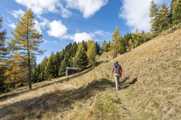 Mount Sasso Bianco, Dolomites,  Alleghe, province of Belluno, Veneto, Italy, Europe. A hiker in the ascend to the summit of mount Sasso Bianco