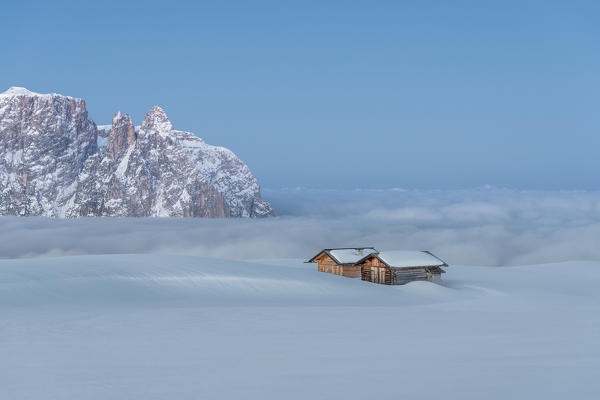 Alpe di Siusi/Seiser Alm, Dolomites, South Tyrol, Italy. Dawn on the plateau of Bullaccia/Puflatsch. In the background the peaks of Sciliar/Schlern