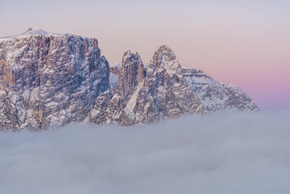 Alpe di Siusi/Seiser Alm, Dolomites, South Tyrol, Italy. The peaks of Sciliar/Schlern in the light of dawn