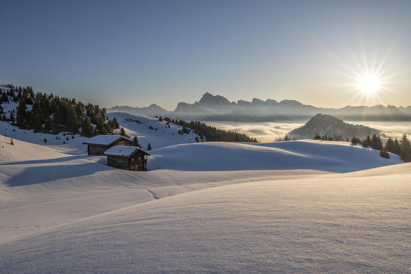 Alpe di Siusi/Seiser Alm, Dolomites, South Tyrol, Italy. Sunrise on the plateau of Bullaccia/Puflatsch. In the background the peaks of the Odle