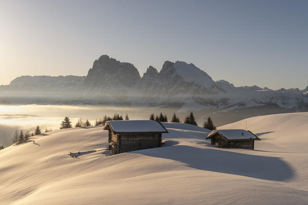 Alpe di Siusi/Seiser Alm, Dolomites, South Tyrol, Italy. Sunrise on the plateau of Bullaccia/Puflatsch. In the background the peaks of the Sella and  Sassolungo