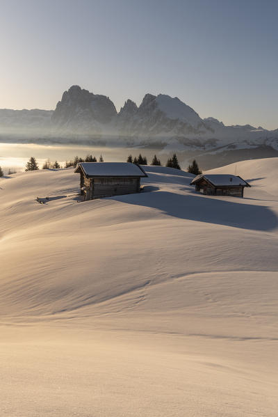 Alpe di Siusi/Seiser Alm, Dolomites, South Tyrol, Italy. Sunrise on the plateau of Bullaccia/Puflatsch. In the background the peaks of the Sella and  Sassolungo