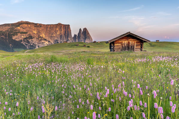 Alpe di Siusi/Seiser Alm, Dolomites, South Tyrol, Italy. Sunrise on the Alpe di Siusi/Seiser Alm. In the background the peaks of Euringer and Santner