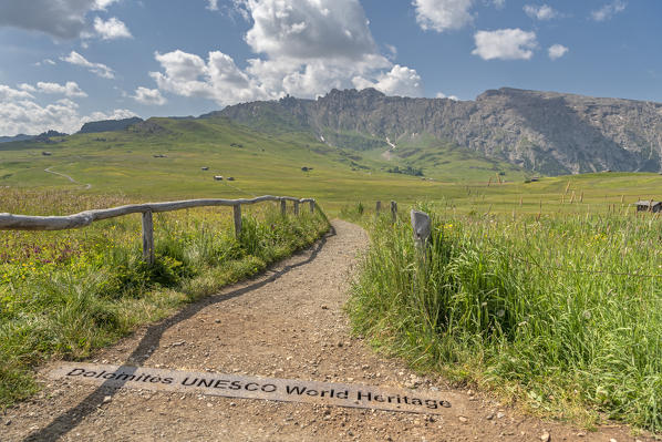 Alpe di Siusi/Seiser Alm, Dolomites, South Tyrol, Italy. 