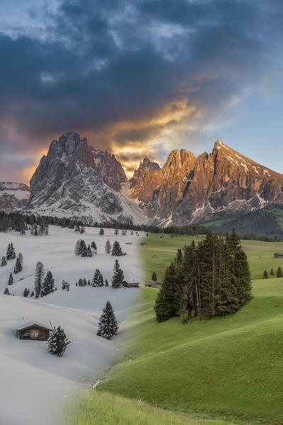 Alpe di Siusi/Seiser Alm, Dolomites, South Tyrol, Italy. A winter-to-summer photomontage of the Alpe di Siusi. In the background the peaks Sassolungo/Langkofel and Sassopiatto/Plattkofel