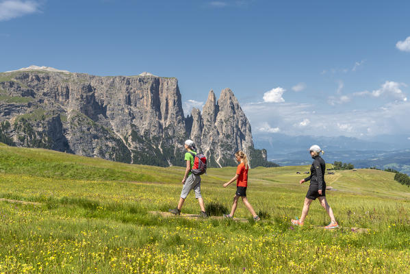 Alpe di Siusi/Seiser Alm, Dolomites, South Tyrol, Italy. Hiker on the Alpe di Siusi with the peaks of Sciliar, Euringer and Santner