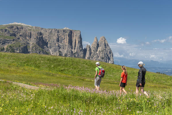 Alpe di Siusi/Seiser Alm, Dolomites, South Tyrol, Italy. Hiker on Alpe di Siusi with the peaks of Sciliar, Euringer and Santner (MR)