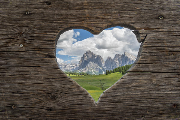 Alpe di Siusi/Seiser Alm, Dolomites, South Tyrol, Italy. 