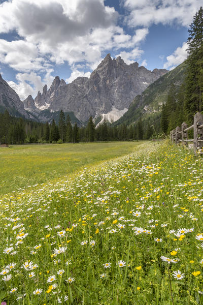 Sesto/Sexten, Dolomites, South Tyrol, Italy. In the Fiscalina valley