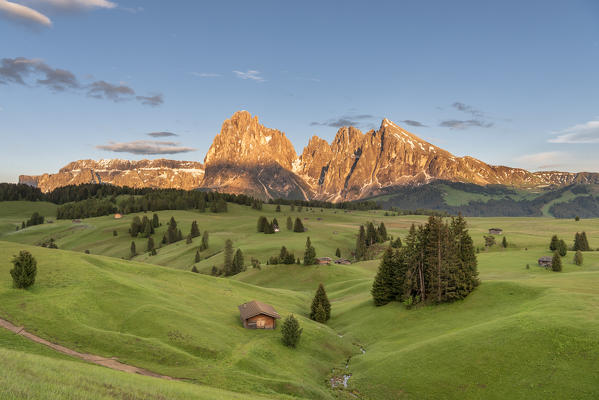 Alpe di Siusi/Seiser Alm, Dolomites, South Tyrol, Italy. Sunset on the Alpe di Siusi/Seiser Alm with the peaks of Sassolungo and Sassopiatto