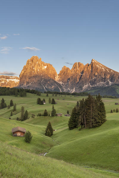 Alpe di Siusi/Seiser Alm, Dolomites, South Tyrol, Italy. Sunset on the Alpe di Siusi/Seiser Alm with the peaks of Sassolungo and Sassopiatto