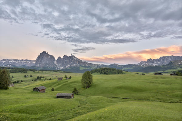 Alpe di Siusi/Seiser Alm, Dolomites, South Tyrol, Italy. Dusk on the Alpe di Siusi/Seiser Alm with the peaks of Sassolungo and Sassopiatto