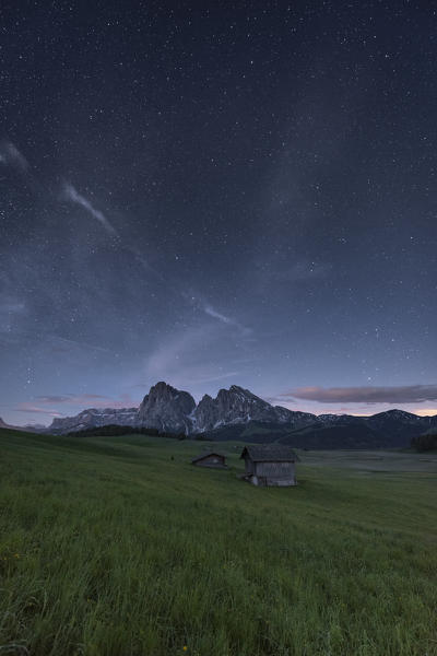 Alpe di Siusi/Seiser Alm, Dolomites, South Tyrol, Italy. Night on the Alpe di Siusi/Seiser Alm with the peaks of Sassolungo and Sassopiatto