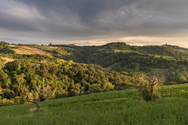 Montotto, Monterubbiano, province of Fermo, Marche, Italy, Europe. Sunset in the hills around the village of Petritoli